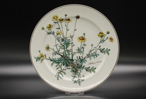 Villeroy boch botanica - boch,