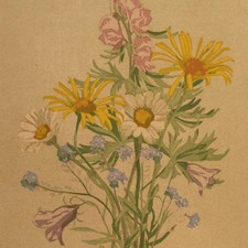 Ernst Rötteken Bergblumen