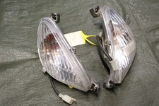 Blinker SATZ vorne Rinder