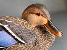 Roger Desjardins Nature's Window Stockente Figur, Signiert, Limitierte Auflage