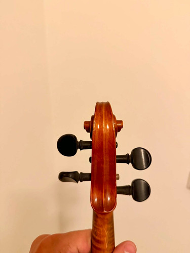 Akustische violine saitig - akustische,