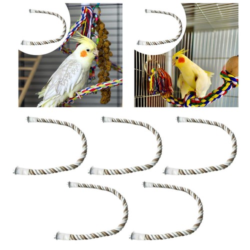 Vogel papagei seil sitzstangen - vogel,