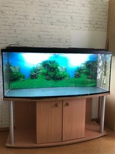 Panorama-Aquarium mit Unterschrank, ca. 390 Liter