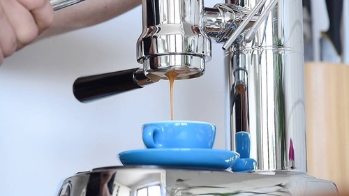 Pavoni bodenloser - pavoni,