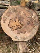 Baumscheibe, Holzscheibe