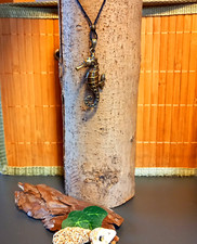 Halskette Kette mit Anhänger Seepferdchen antik Bronze Farbe (18)