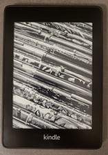 Amazon Kindle Paperwhite (10