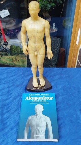 G468 chinesisches akupunktur - g468/,