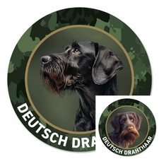 Deutsch drahthaar jagdhund - jagdhund, –