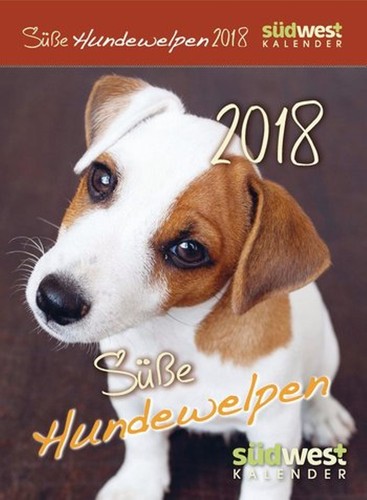 Süße hundewelpen 2018 - hundewelpen,
