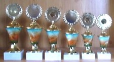 6 Pokale Serie gestaffelt 24
