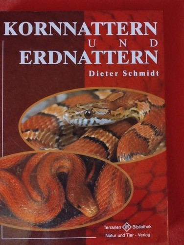 Kornnattern erdnattern neu - &,