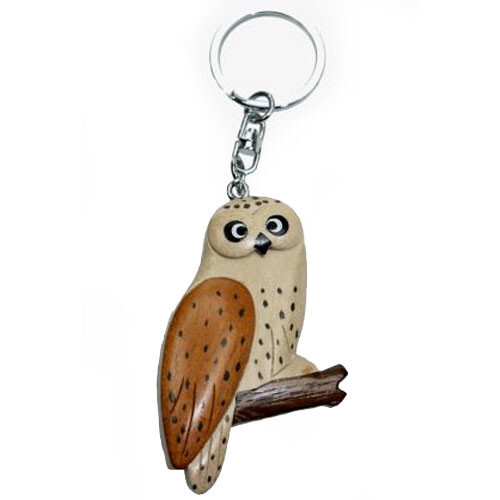 Schleiereule schneeeule vogel - schleiereule,