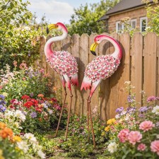 Outsunny Flamingo