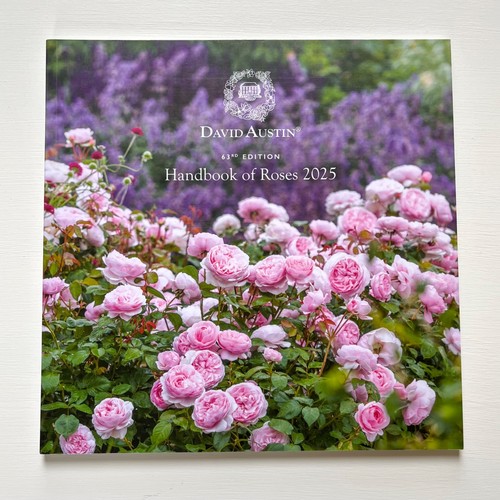 David austin handbook roses - david,