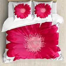 Abakuhaus, Gerber Daisy