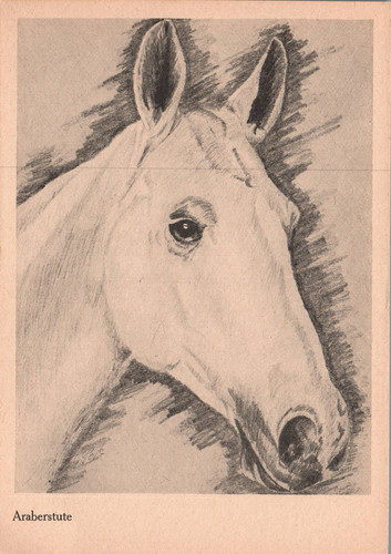 Pferd künstlerkarte - ak,