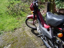 Manet Korado Mofa als