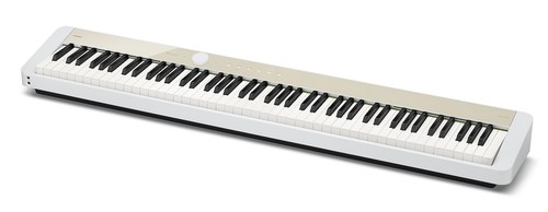 Casio s1100 privia - px-s1100,