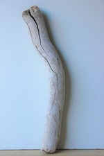 Treibholz Schwemmholz Driftwood 1 Skulptur Terrarium Dekoration Garten Diy