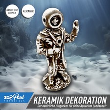 👨 ZooPaul Terrarium Deko