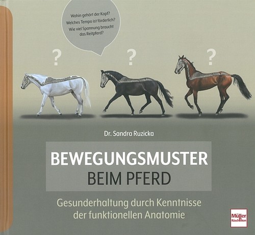Ruzicka bewegungsmuster beim - ruzicka:,