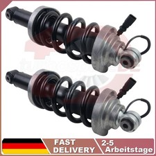Paar Stoßdämpfer Hinten Federbein Für Audi R8 Spyder Lamborghini Huracán 4T05120