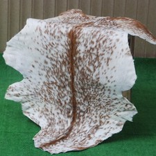 Authentisch Braune Ziege