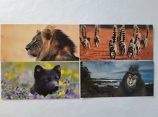 Ansichtskarten Tiere 4er, XXL