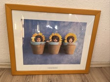 Anne Geddes Gerahmtes Bild Baby 40cm x 50cm