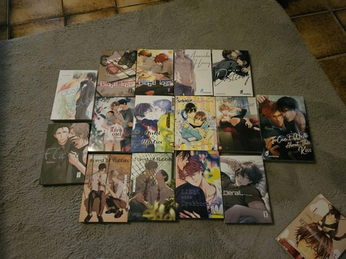 Boys love manga set - love, stück