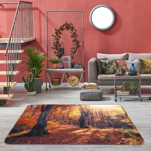 Herbst landschaft q10267 - herbst,