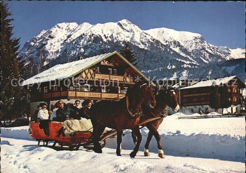 Pferdeschlitten bayern berge - pferdeschlitten,