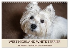 WEST HIGHLAND WHITE TERRIER -