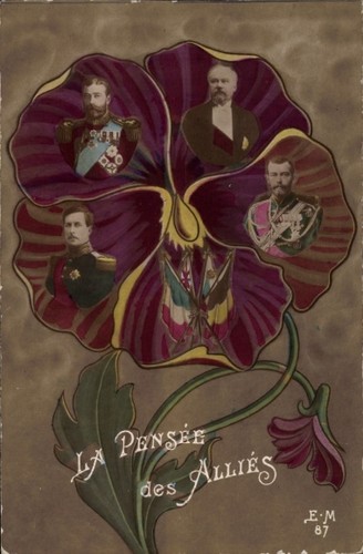 Pensée des allies - ak, allies,