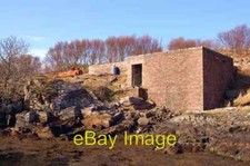 Foto 6x4 Basking Shark Factory