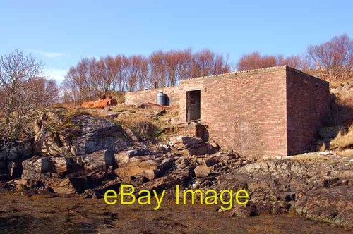 Foto 6x4 basking shark factory - foto,