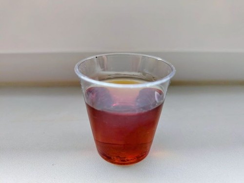 Schnapsbecher plastik 2cl - plastik,