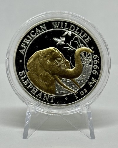 2018 silber african - african, wildlife