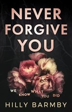 Never Forgive You -  NEW Hilly