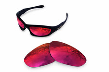 newpolar polarisierte