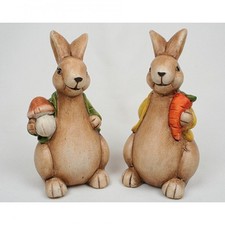 schönes Hasen Paar mit Jacke