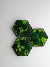 Moosbild Hexagon 3er Set im