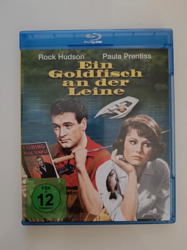 Ein goldfisch der leine - an,