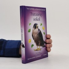 Poraněný sokol  |  Michal