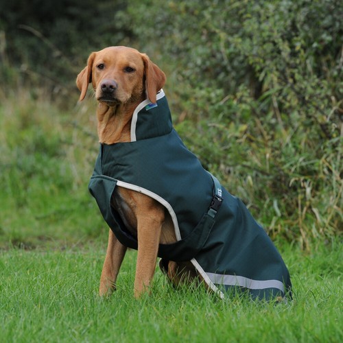 Bucas greenline dog rug 50g - greenline,
