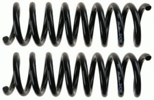 SACHS Fahrwerksfedern Hinten