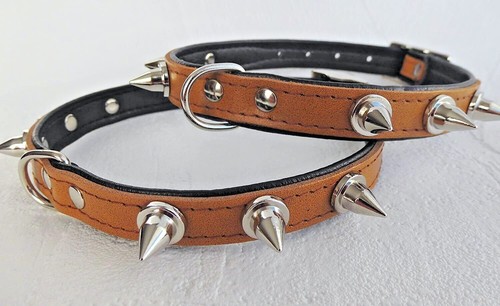 Hunde halsband halsumfang - hunde,