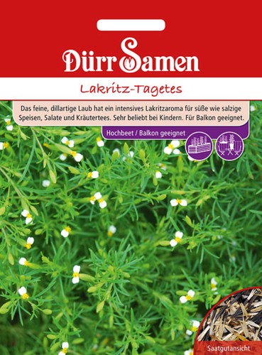 Lakritz tagetes saatgut von - lakritz-tagetes,