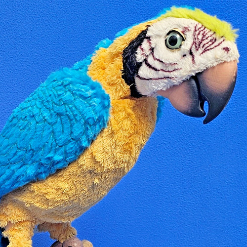 Furreal friends hasbro papagei - furreal,